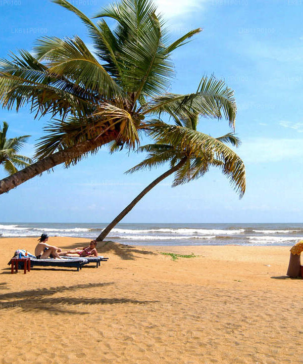 LK611P0100-01-E-1280-720